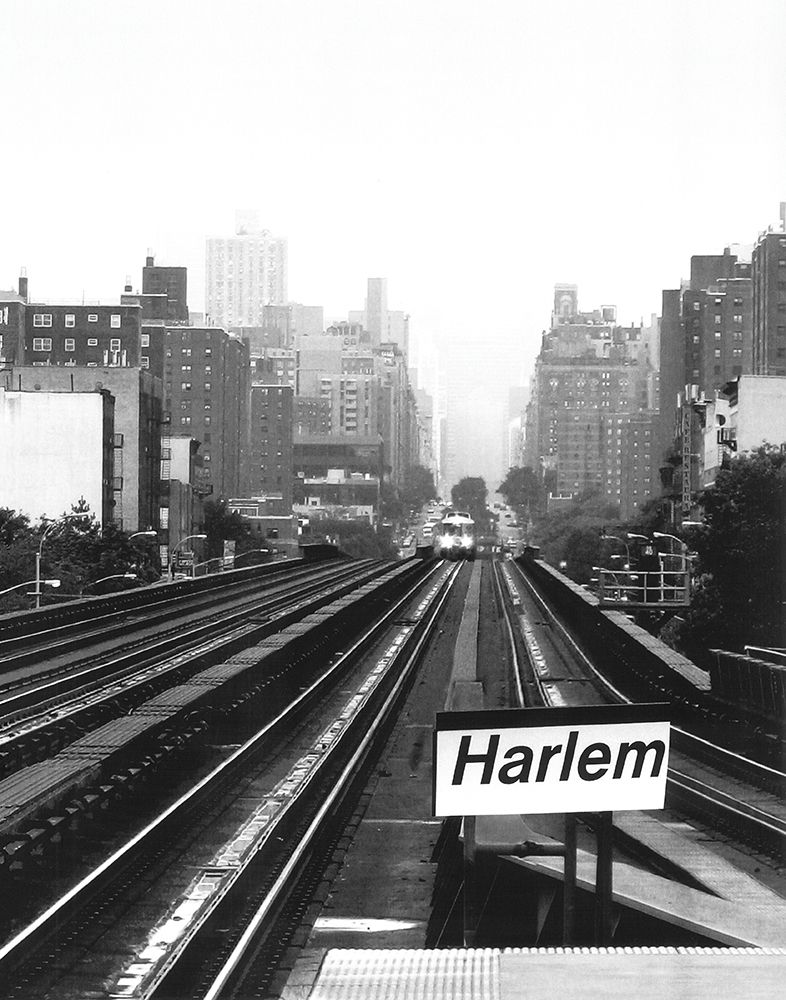 Next Stop Harlem art print by Ellen Fisch for $57.95 CAD