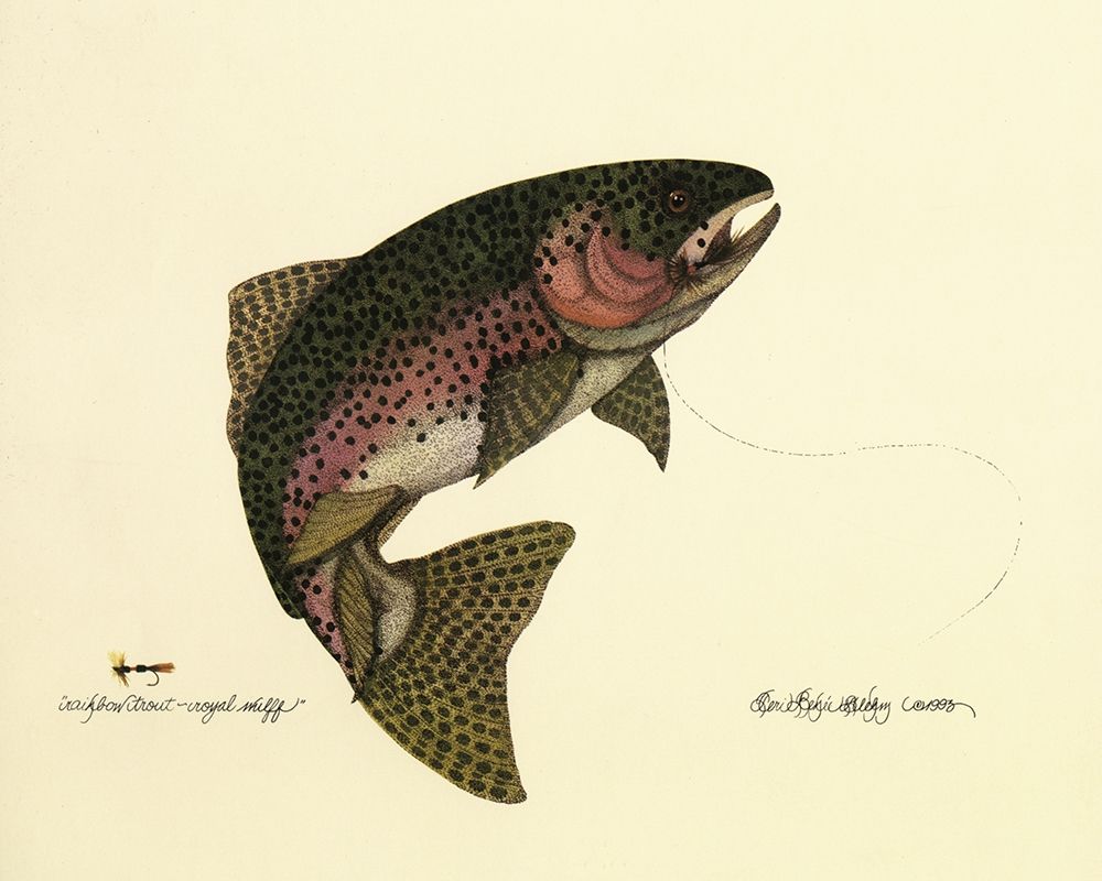 Rainbow Trout art print by Unknown for $57.95 CAD