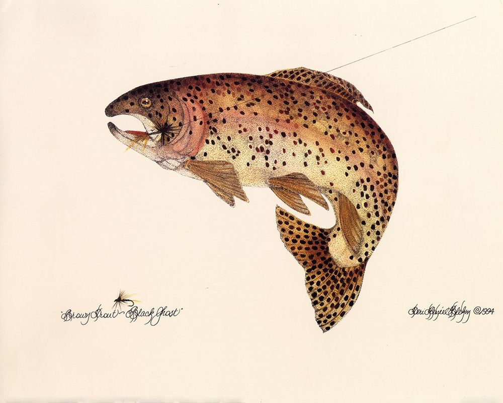 Brown Trout art print by Unknown for $57.95 CAD
