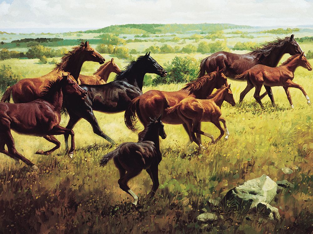 Wild Horses I art print by Unknown for $57.95 CAD