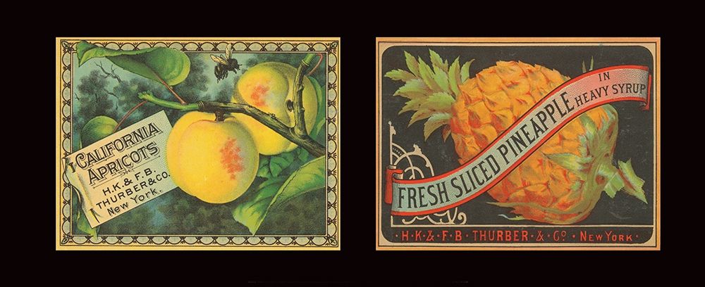 Apricots and Pineapple art print by Unknown for $57.95 CAD