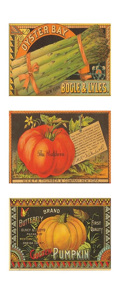 Asparagus-Tomato-Pumpkin art print by Unknown for $57.95 CAD