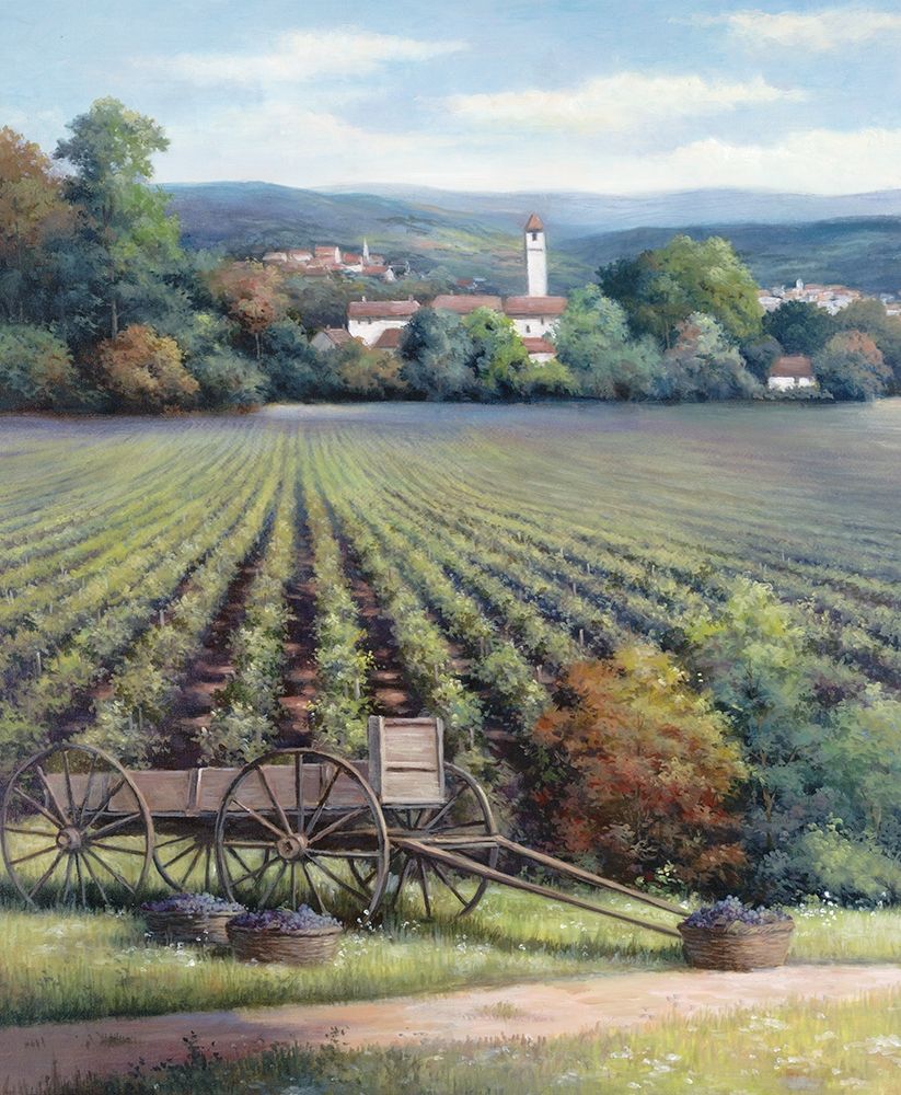 Vineyards I art print by Unknown for $57.95 CAD