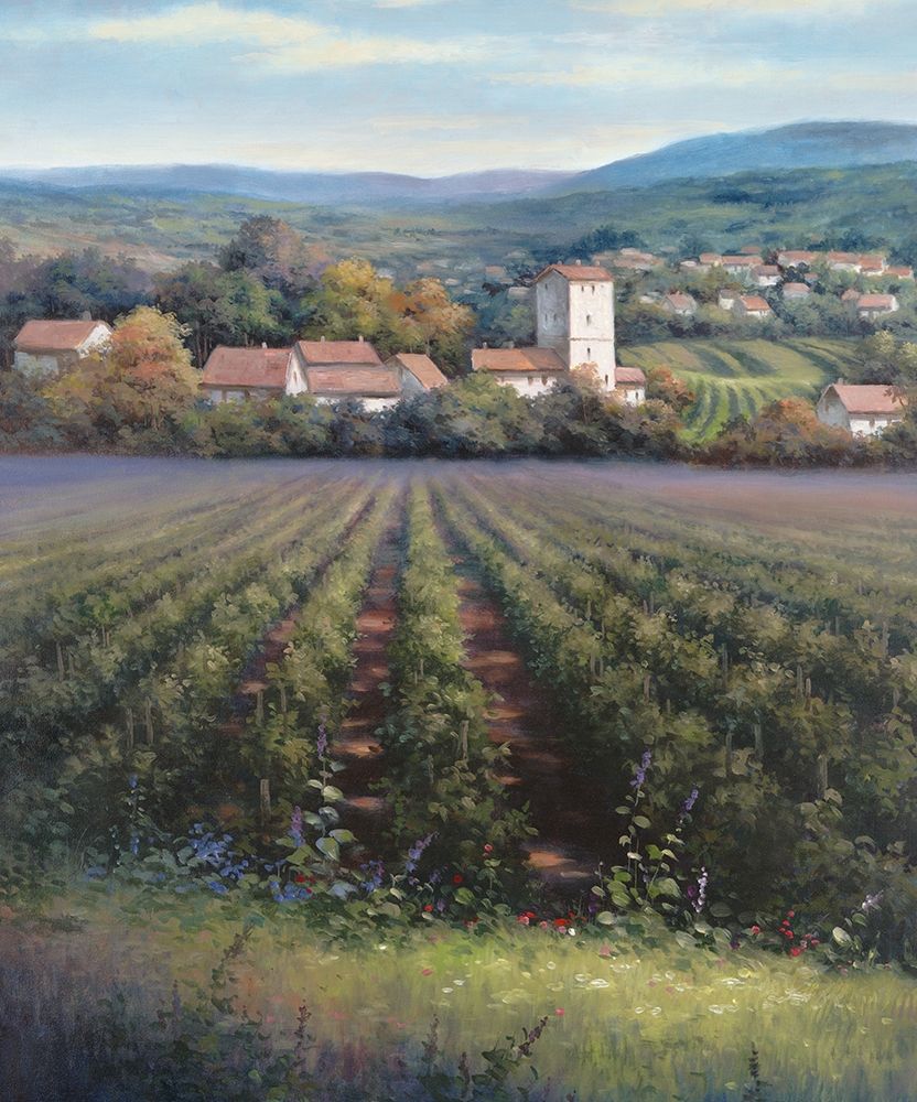 Vineyards II art print by Unknown for $57.95 CAD