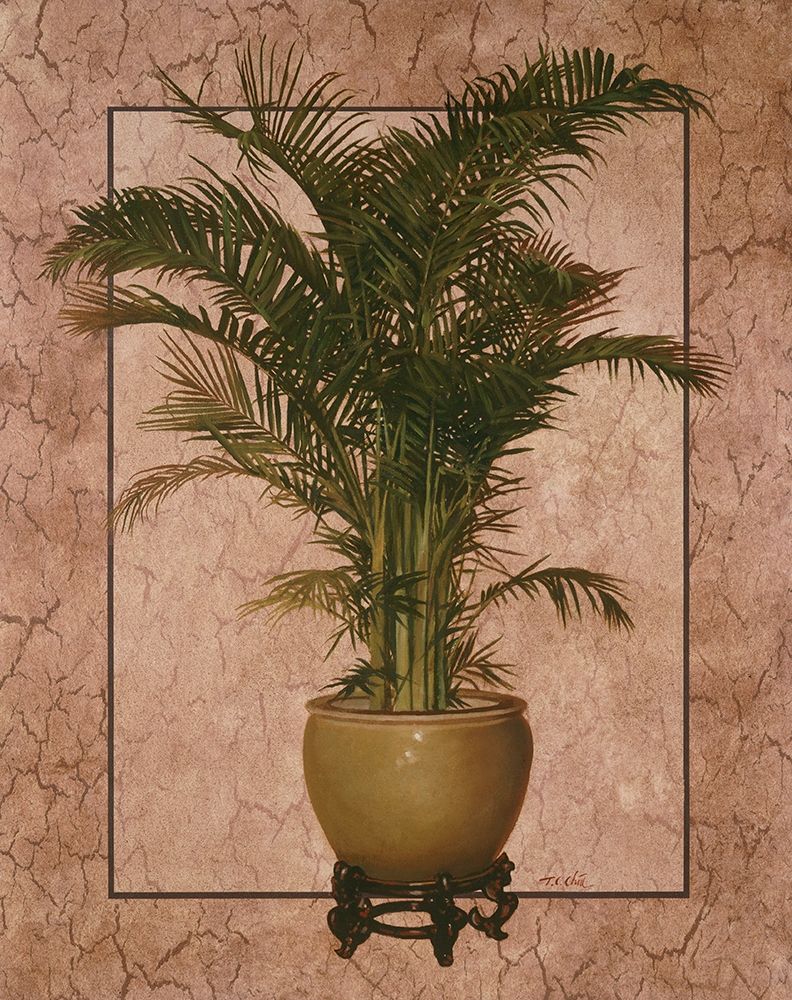 Potted Palm I art print by Unknown for $57.95 CAD