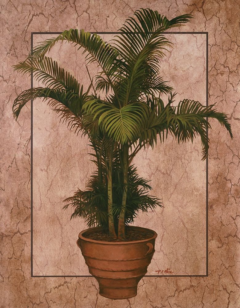 Potted Palm II art print by Unknown for $57.95 CAD