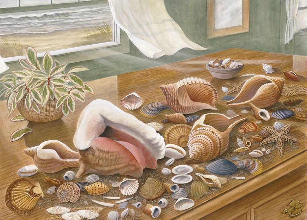Seashells I art print by Unknown for $57.95 CAD