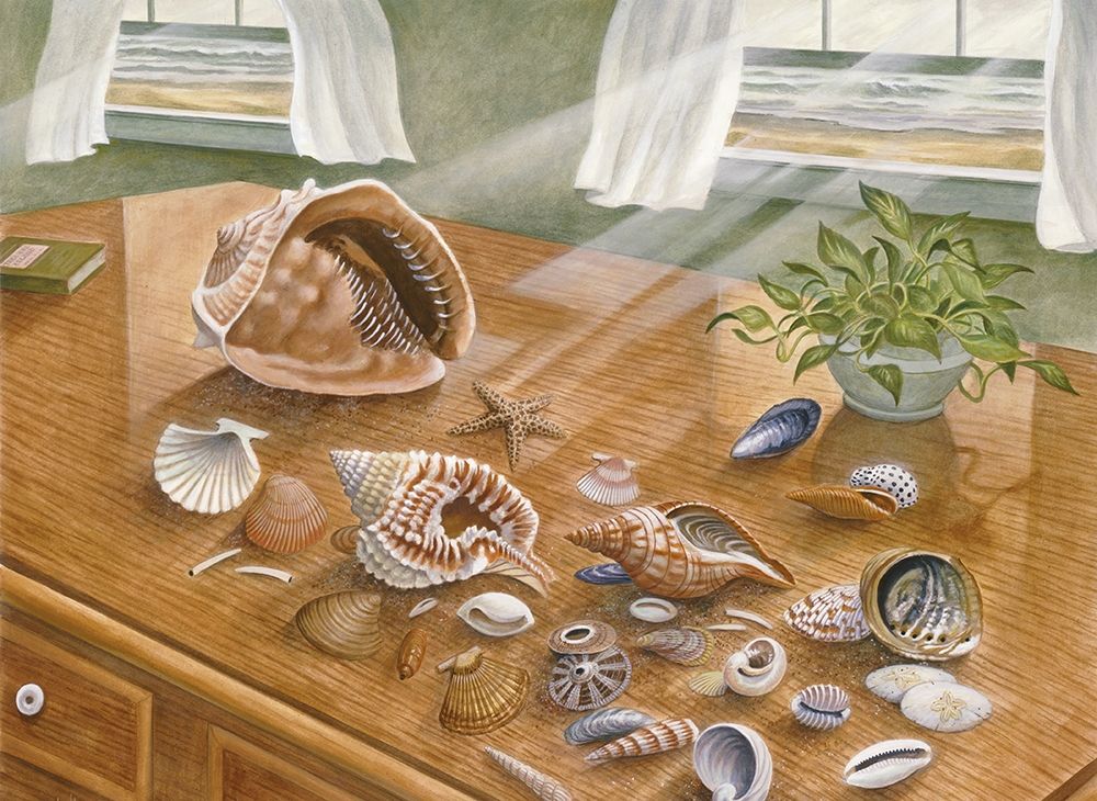 Seashells II art print by Unknown for $57.95 CAD