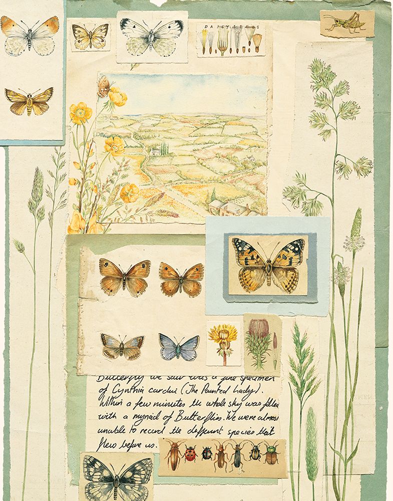 Butterfly Collage art print by Brooks for $57.95 CAD