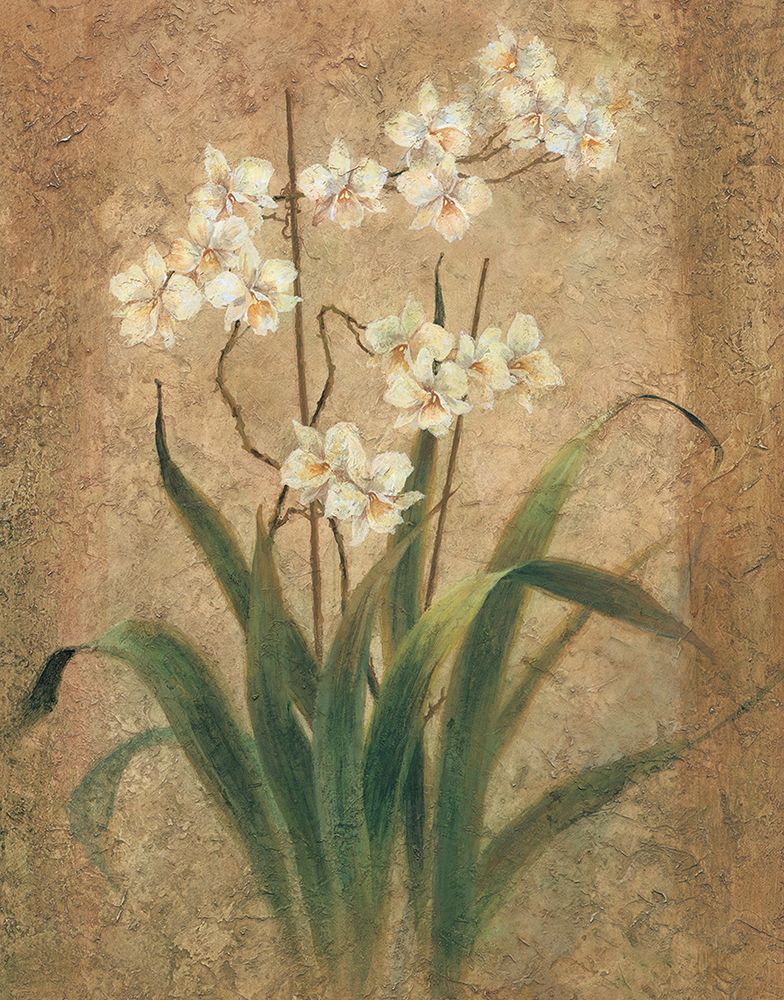 White Lilies I art print by Unknown for $57.95 CAD