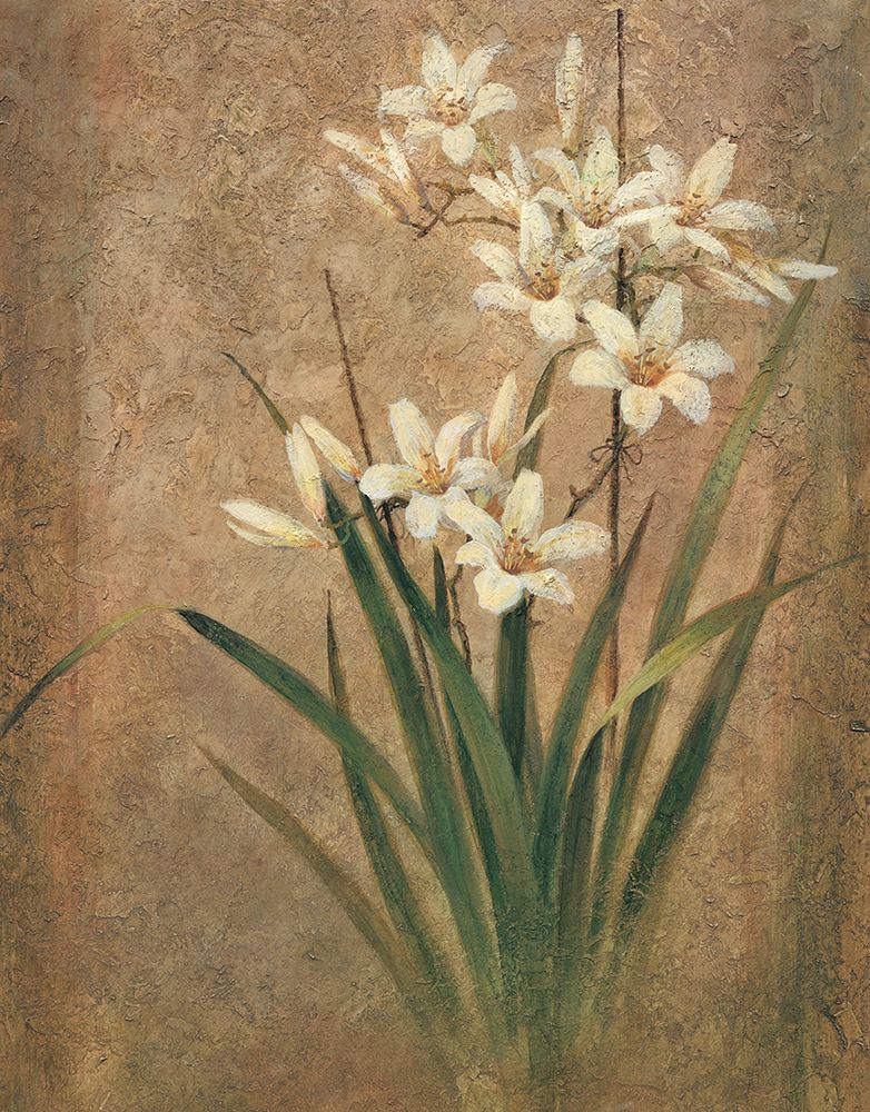White Lilies II art print by Unknown for $57.95 CAD