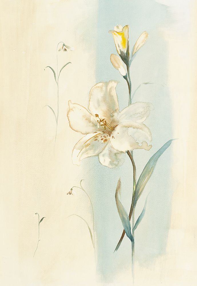 White Orchid art print by Unknown for $57.95 CAD