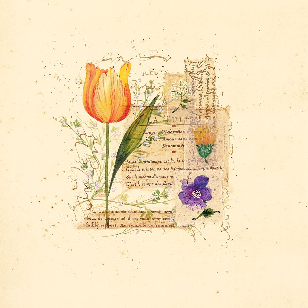 Parisian Tulip I art print by Unknown for $57.95 CAD