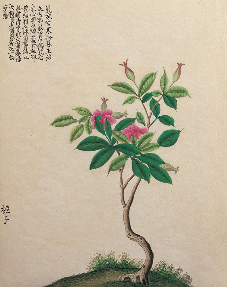 Oriental Bamboo art print by Unknown for $57.95 CAD