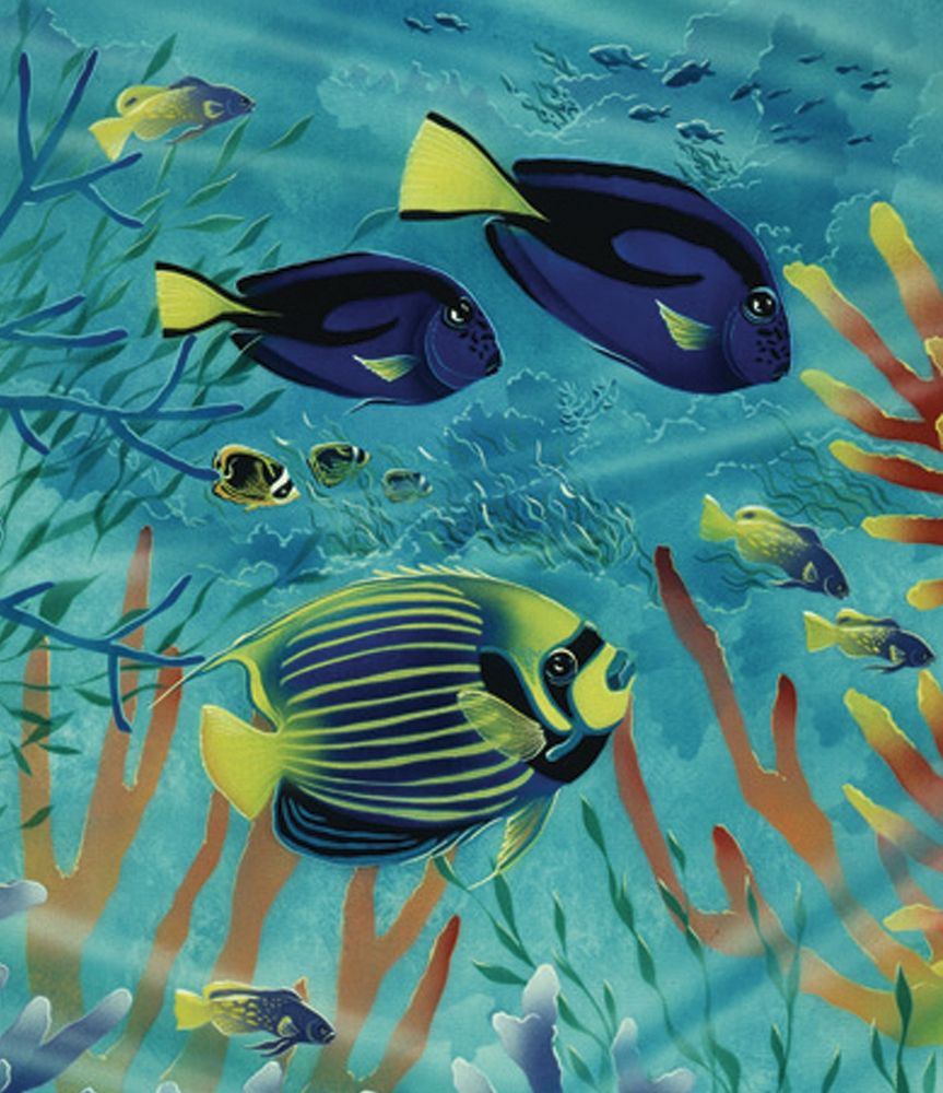 Exotic Fish II art print by Unknown for $57.95 CAD