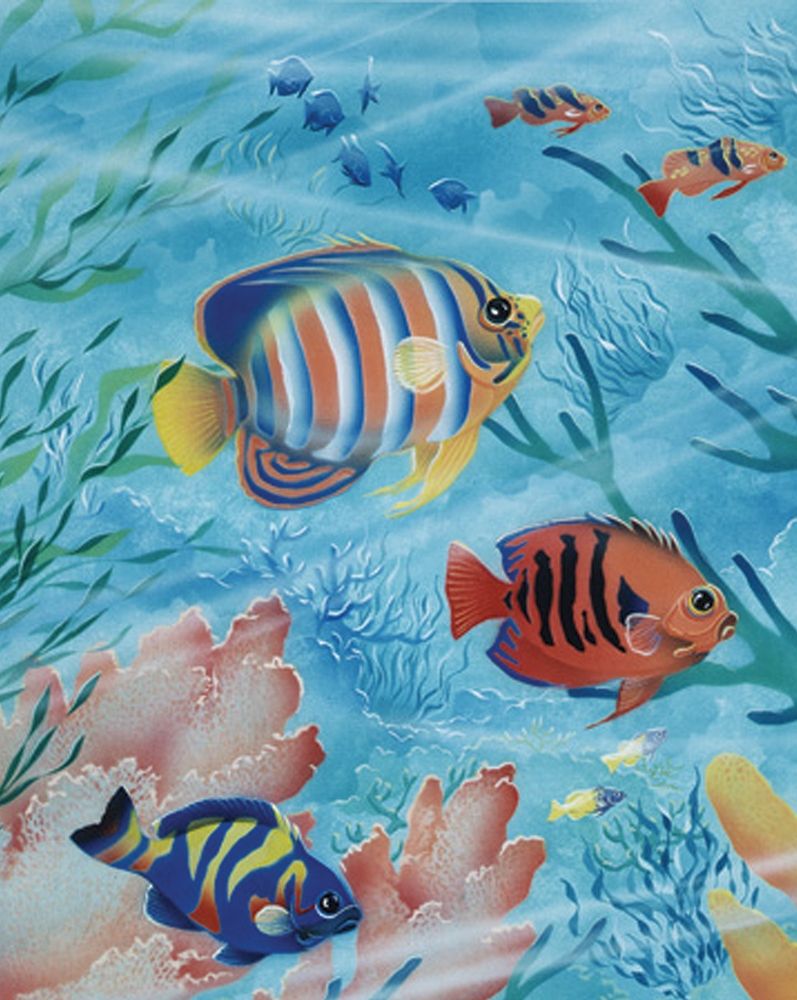 Exotic Fish I art print by Unknown for $57.95 CAD