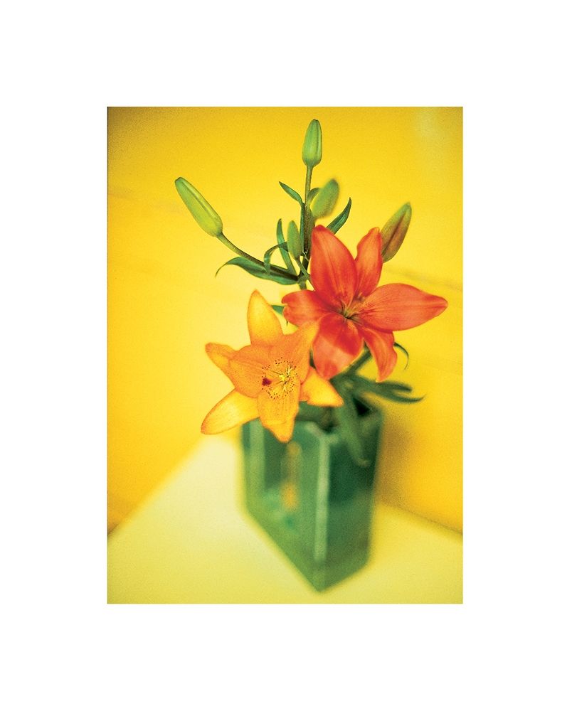 Day Lilies art print by Frontline for $57.95 CAD