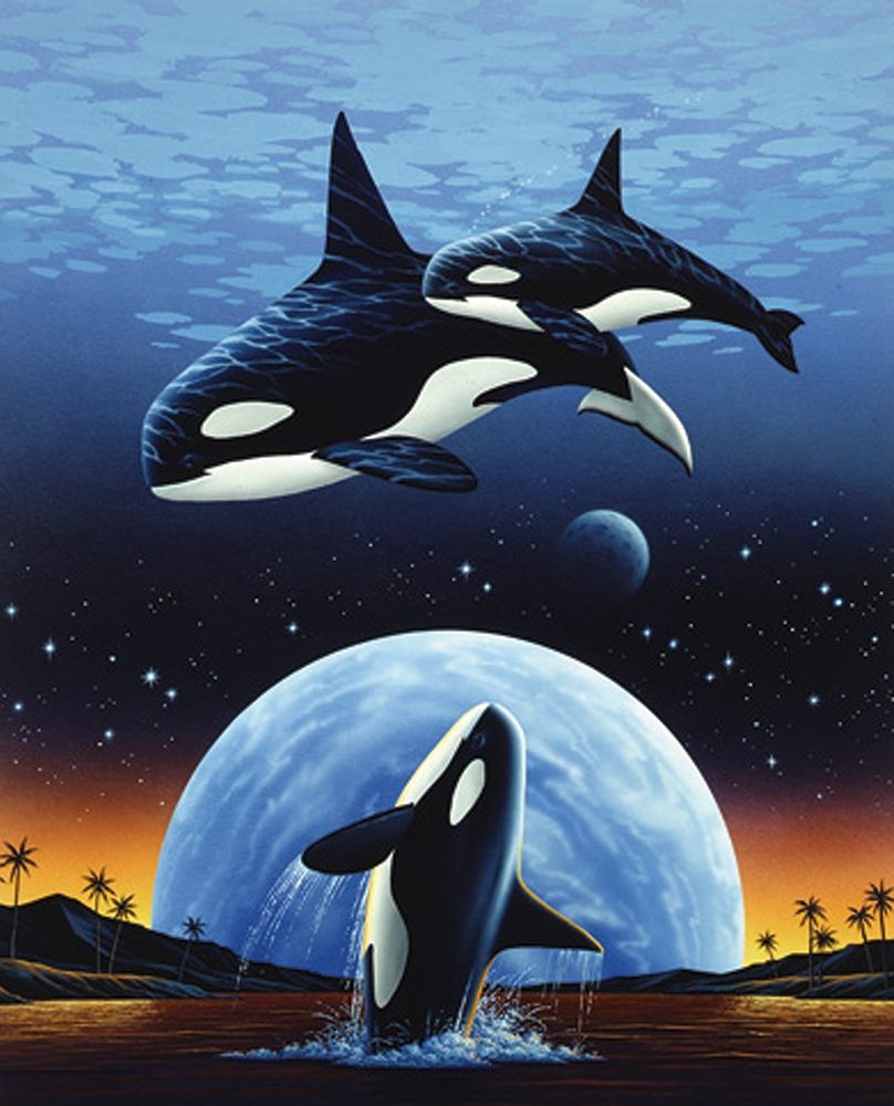 Orcas and Moon art print by Unknown for $57.95 CAD