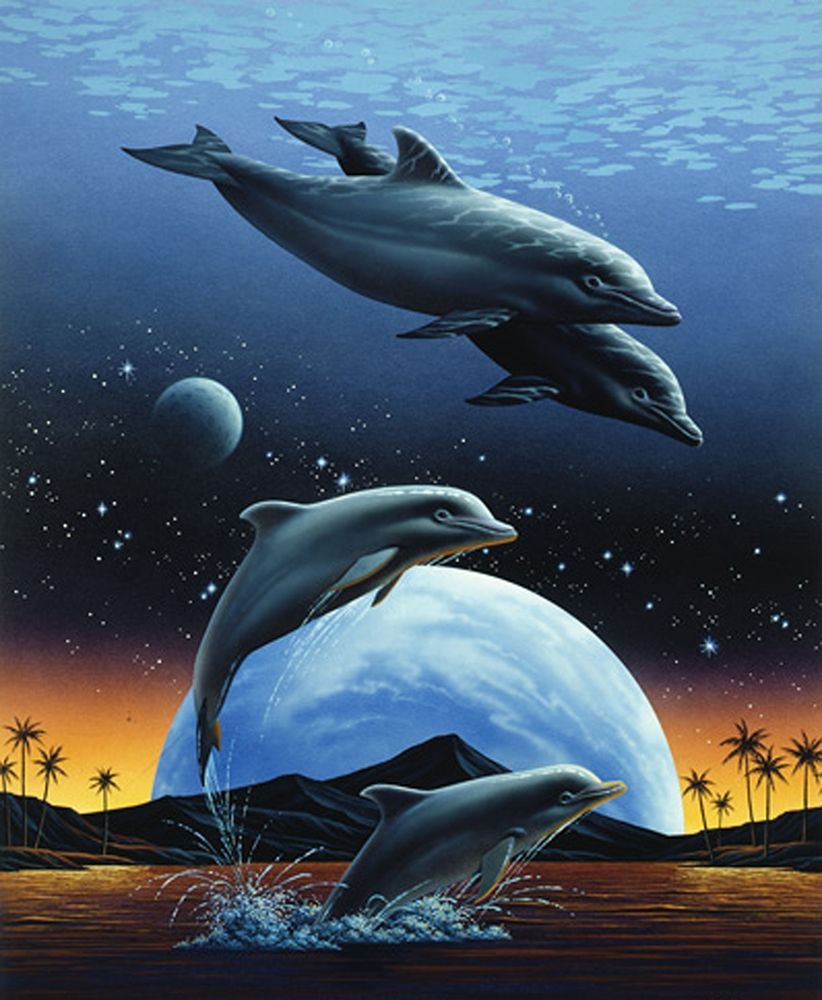 Porpoise and Moon II art print by Unknown for $57.95 CAD