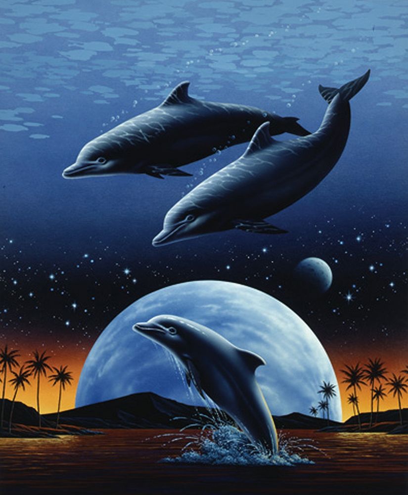 Porpoise and Moon I art print by Unknown for $57.95 CAD