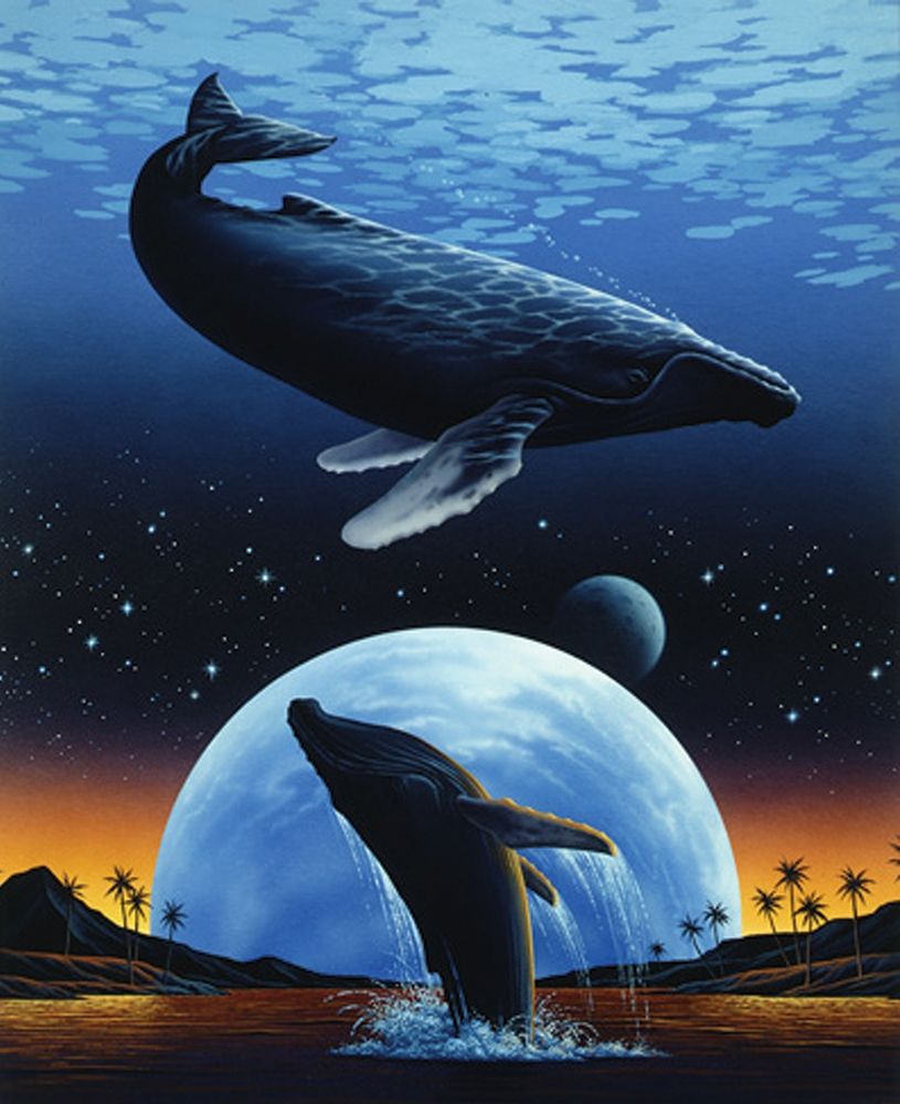 Whale and Moon art print by Unknown for $57.95 CAD