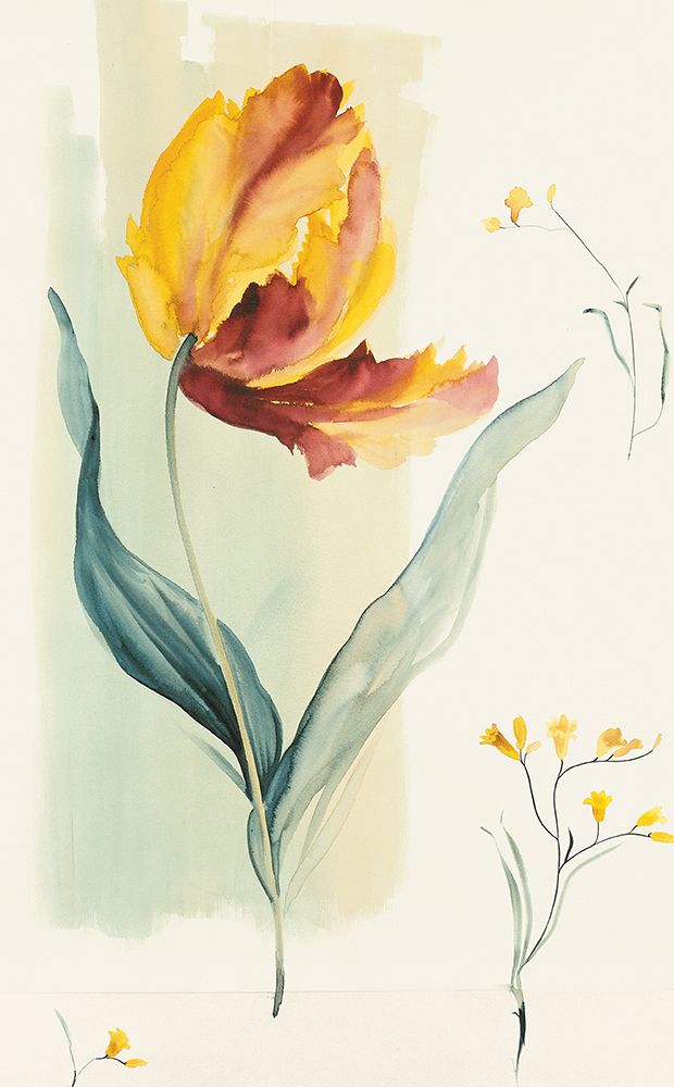 Yellow Blossom art print by Unknown for $57.95 CAD