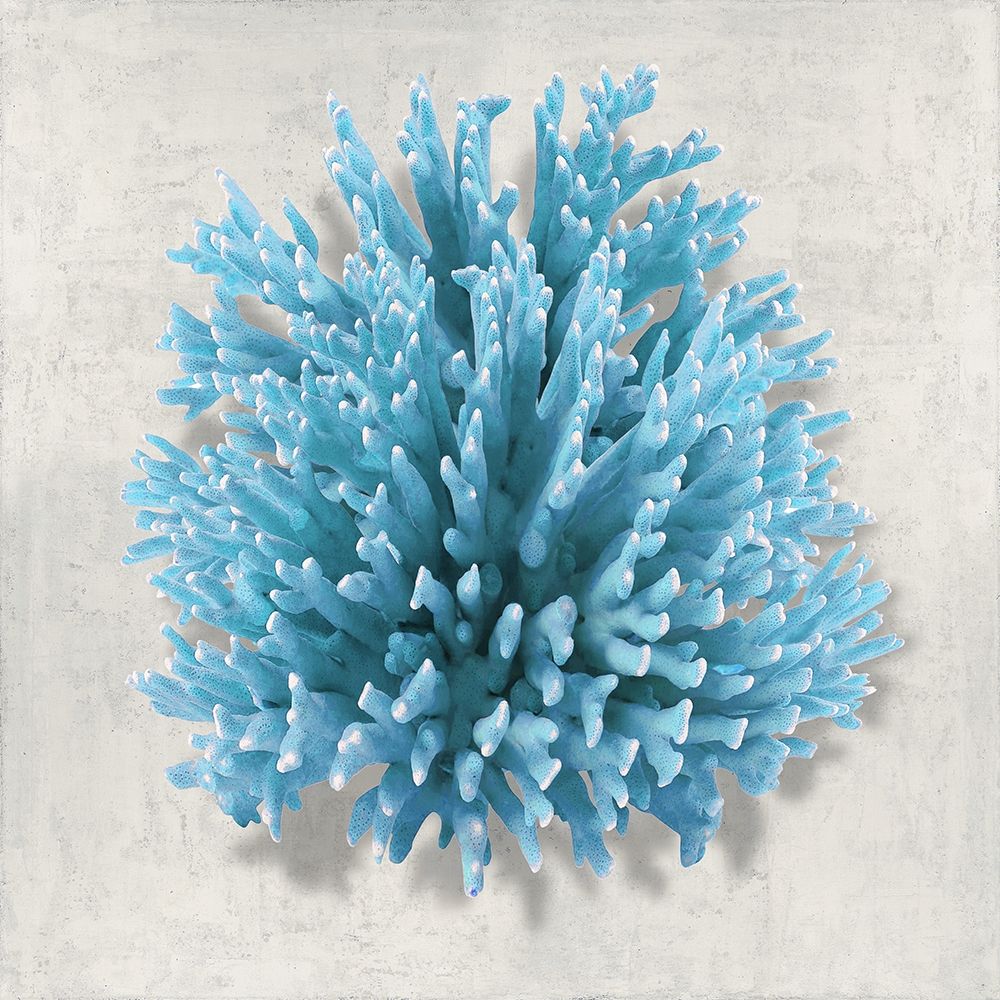 Coral Aqua I art print by Caroline Kelly for $57.95 CAD