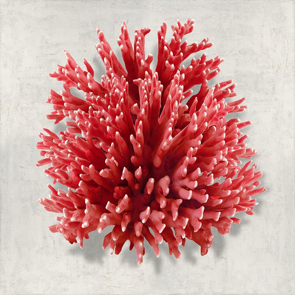 Coral Red I art print by Caroline Kelly for $57.95 CAD