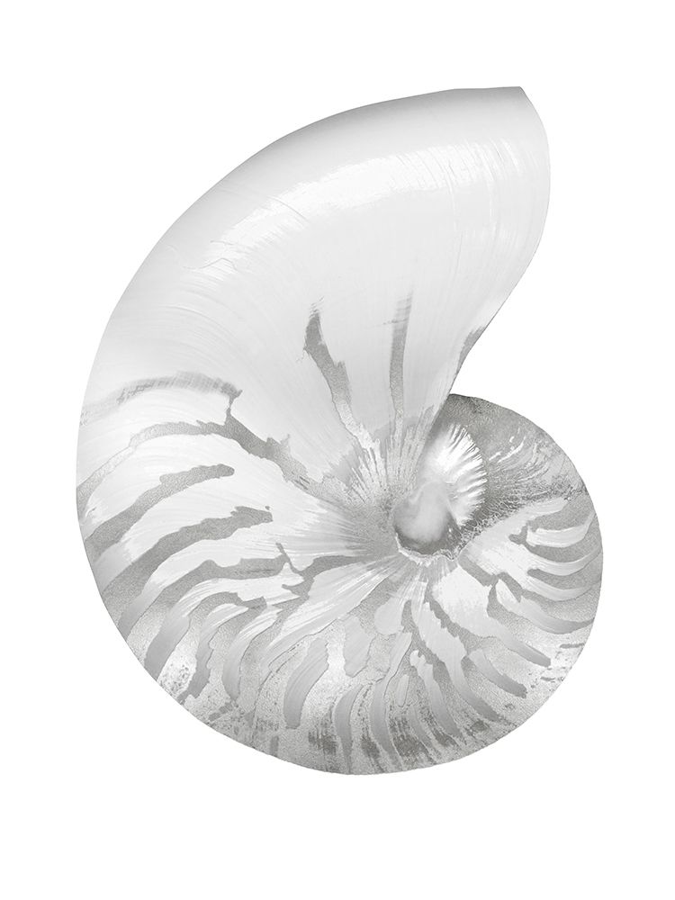 Silver Pearl Shell III art print by Caroline Kelly for $57.95 CAD
