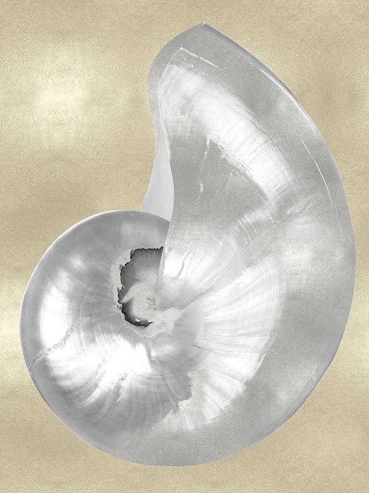 Silver Pearl Shell on Gold I art print by Caroline Kelly for $57.95 CAD