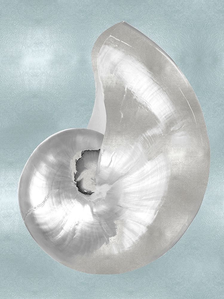 Silver Shell on Aqua Blue I art print by Caroline Kelly for $57.95 CAD