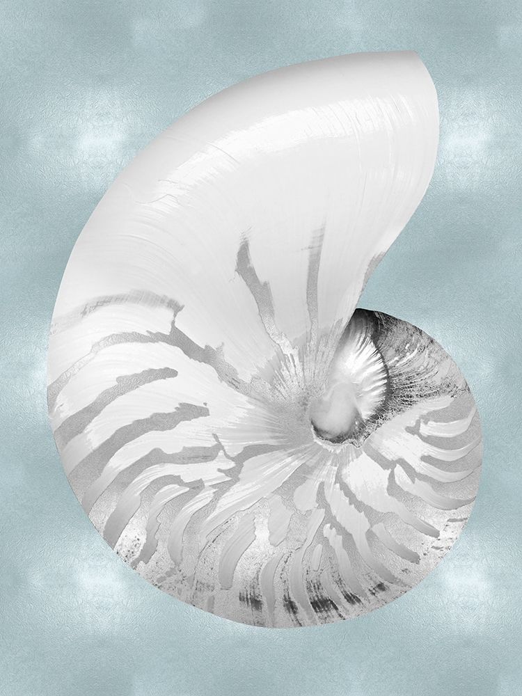 Silver Shell on Aqua Blue II art print by Caroline Kelly for $57.95 CAD
