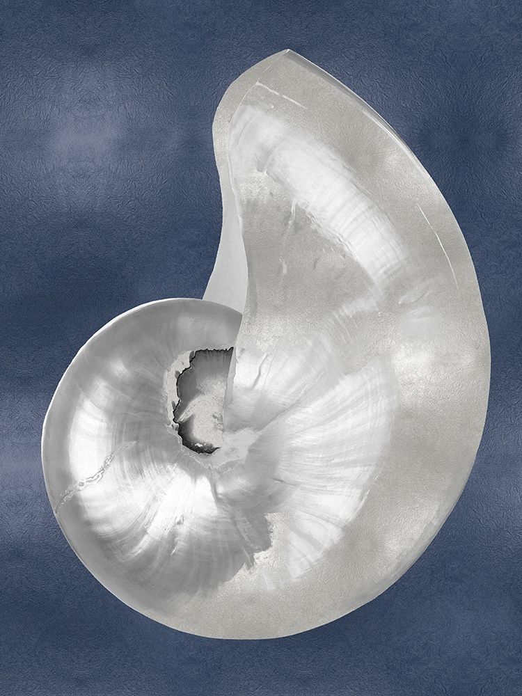 Silver Shell on Indigo Blue I art print by Caroline Kelly for $57.95 CAD