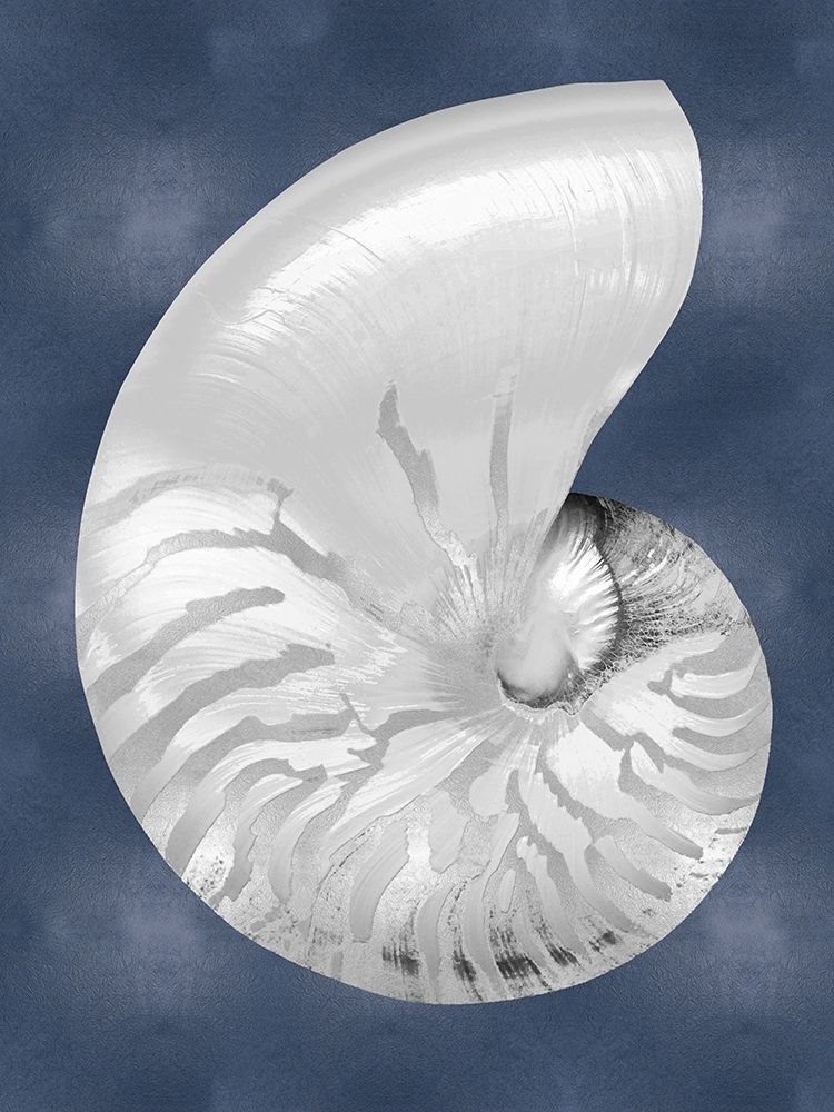 Silver Shell on Indigo Blue II art print by Caroline Kelly for $57.95 CAD