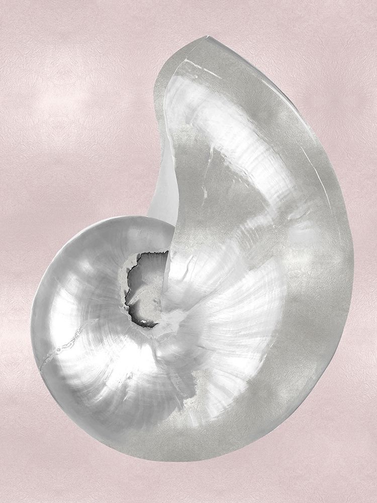 Silver Shell on Pink Blush I art print by Caroline Kelly for $57.95 CAD
