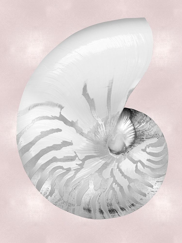 Silver Shell on Pink Blush II art print by Caroline Kelly for $57.95 CAD