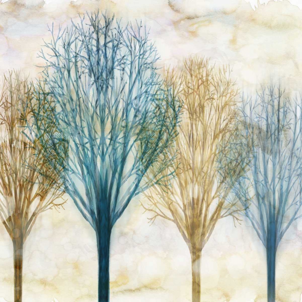 Among the Trees I art print by Chris Donovan for $57.95 CAD