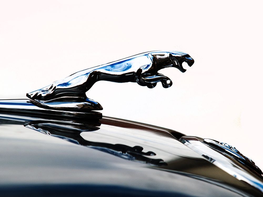 Jaguar hood ornament art print by Clive Branson for $57.95 CAD