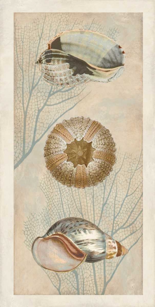 Ocean Companions II art print by Deborah Devellier for $57.95 CAD