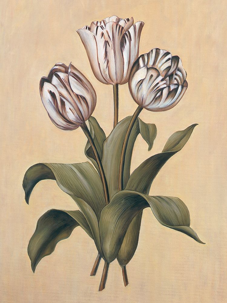 Tulips II art print by Jill Deveraux for $57.95 CAD