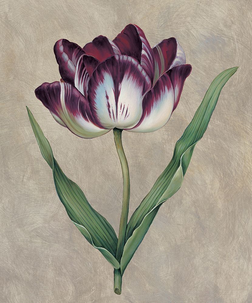 Parrot Tulip II art print by Jill Deveraux for $57.95 CAD