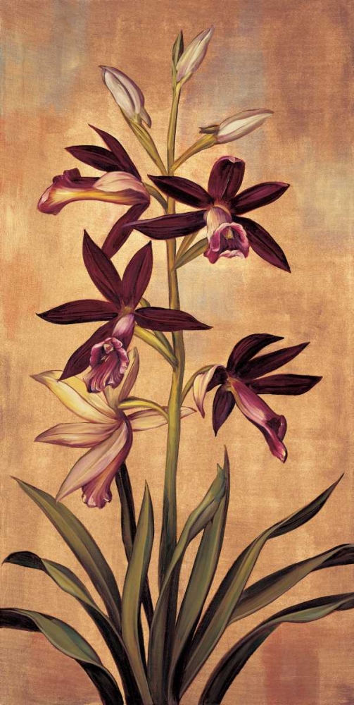 Burgundy Orchid art print by Jill Deveraux for $57.95 CAD
