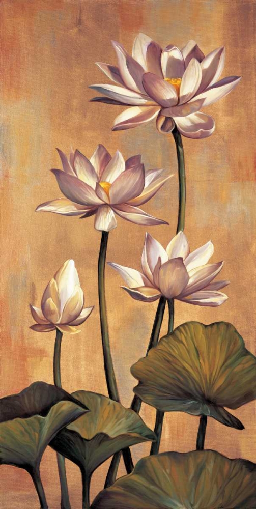 White Lotus art print by Jill Deveraux for $57.95 CAD