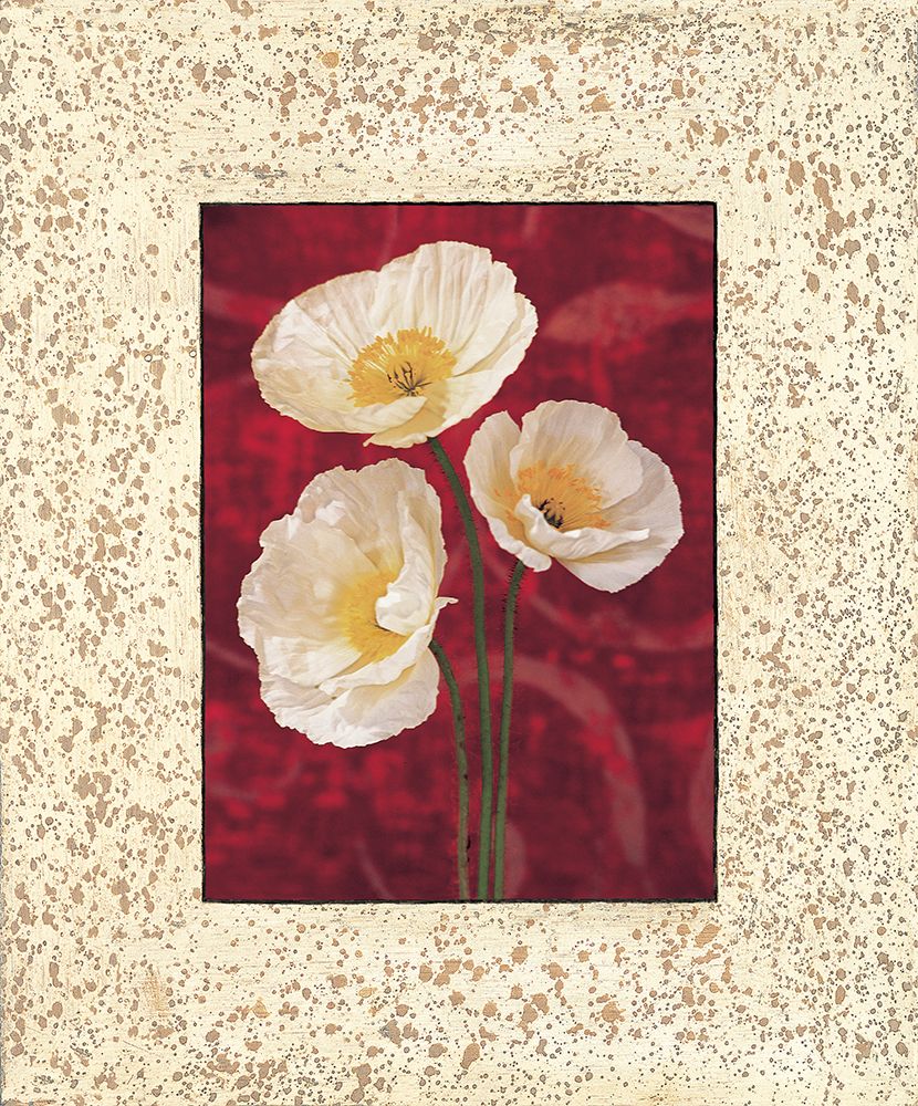Poppies art print by John Seba for $57.95 CAD