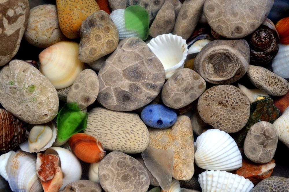 Petoskey Stones III art print by Michelle Calkins for $57.95 CAD