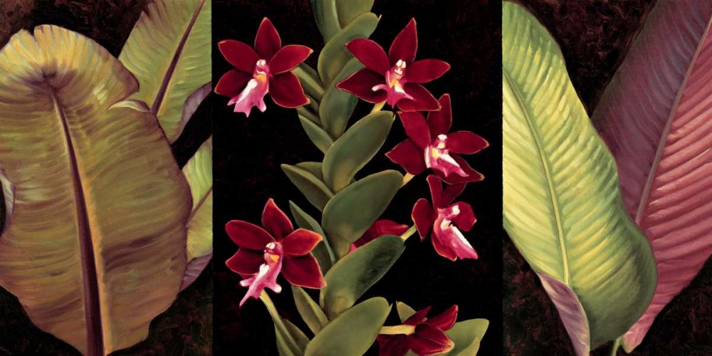 Red Orchids and Palm Leaves art print by Rodolfo Jimenez for $57.95 CAD