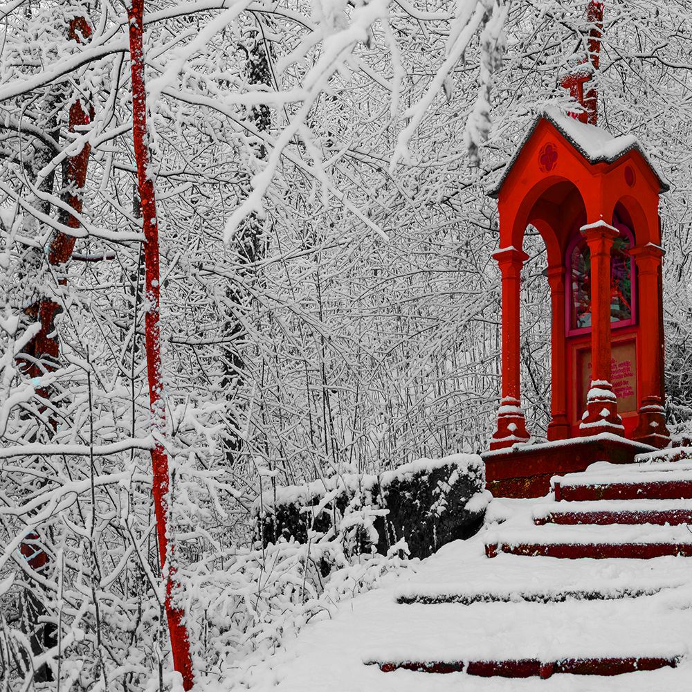 Red Winter art print by Jamie Phillip for $57.95 CAD