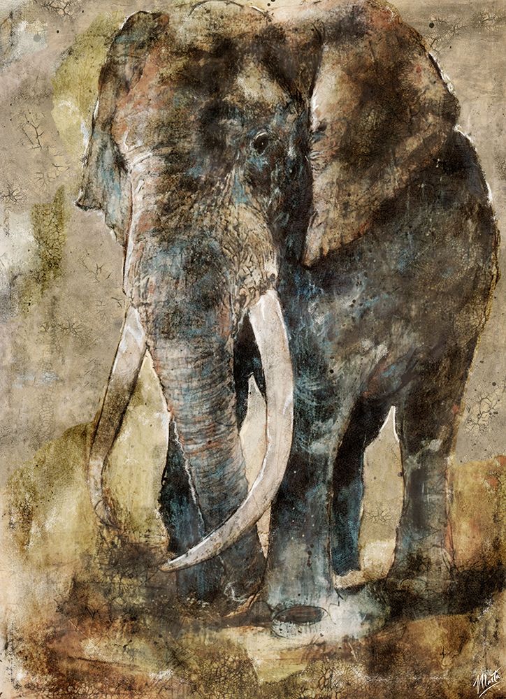 Pen And Ink Elephant art print by Marta Wiley for $57.95 CAD