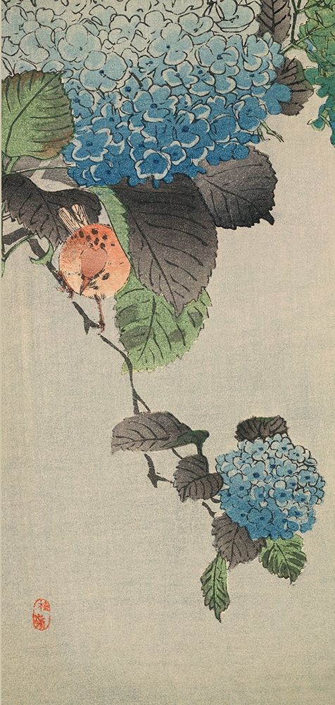 Small bird and hydrangea art print by Unknown for $57.95 CAD