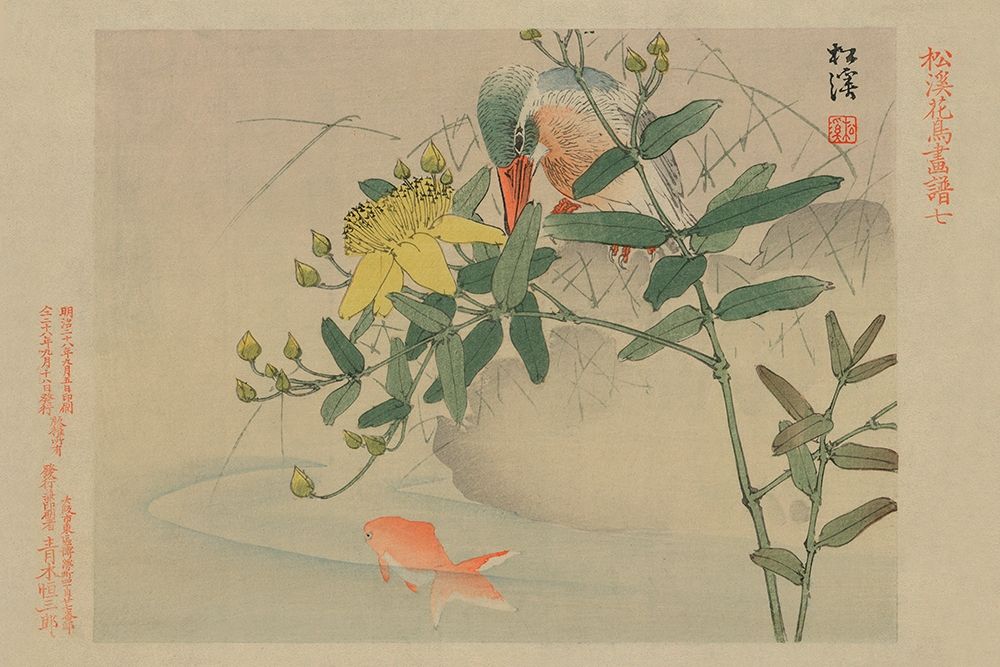 Kingfisher and Goldfish in Pond art print by Unknown for $57.95 CAD
